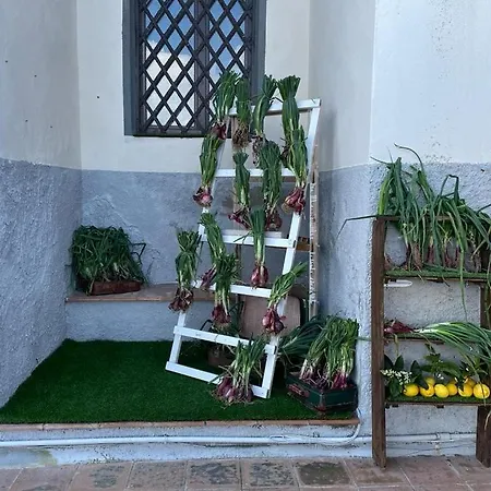 אורחן La Del Convento