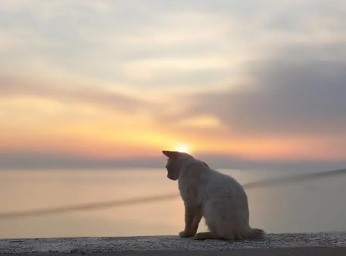 Zajazd La Del Convento Tropea