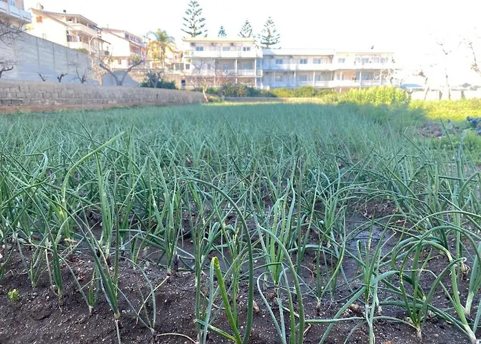 La Del Convento Zajazd