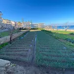 La Del Convento Tropea