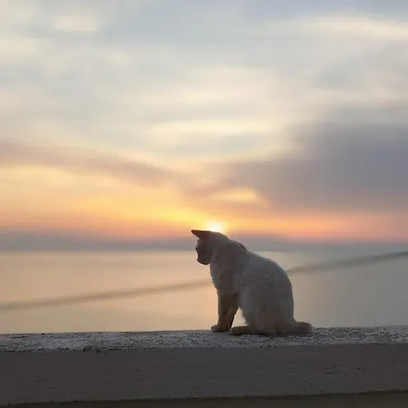 Locanda La Del Convento Tropea