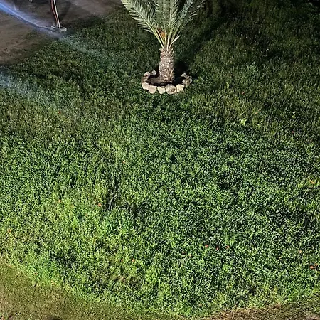 La Del Convento Tropea