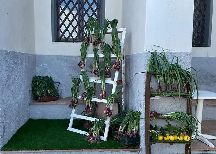 بيت ريفي La Del Convento تروبيا